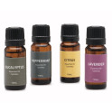 Coffret d'arômes pour sauna TYLOHELO 4x10ml - 1