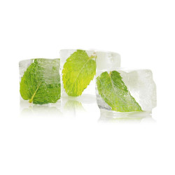 Concentré de parfum pour sauna HARVIA, menthe glacée 100 ml  Concentré de parfum pour sauna HARVIA, menthe glacée 100 ml