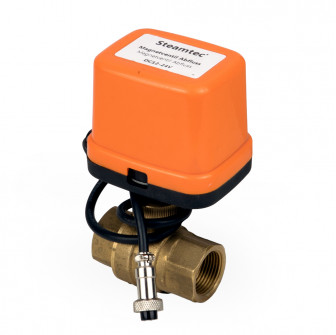 Robinet de vidange automatique - SteamTec