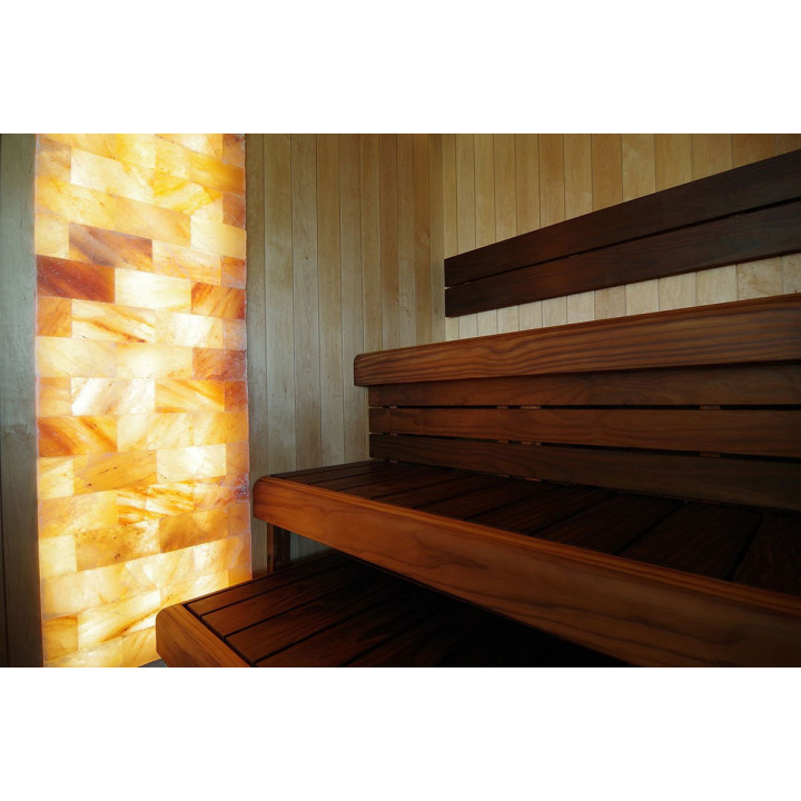 Briques de sel himalayennes polies avec encoche 200x100x50mm