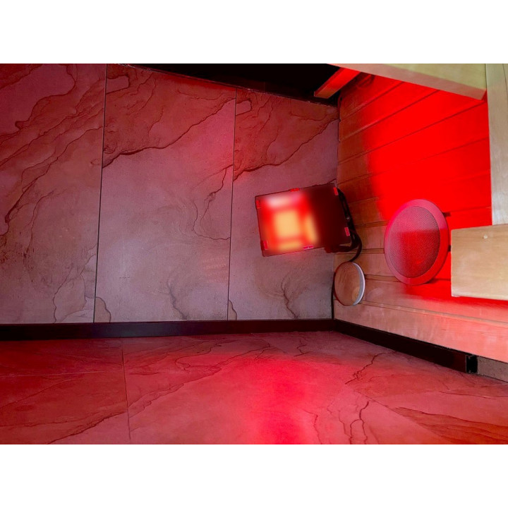 PROJECTEUR LED SAUFLEX RGB, AVEC UNITÉ DE COMMANDE