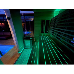 PROJECTEUR LED SAUFLEX RGB, AVEC UNITÉ DE COMMANDE 