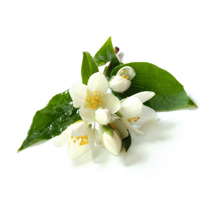 Concentré d'arôme pour sauna Sentiotec, fleur de jasmin