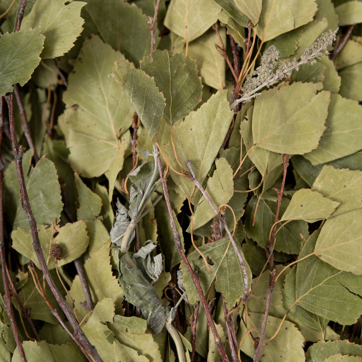 Fouet de bouleau aux herbes