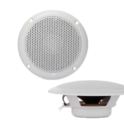 Haut-parleur FR, 10 cm 