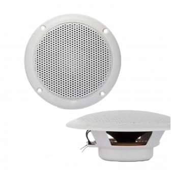 Haut-parleur FR, 10 cm