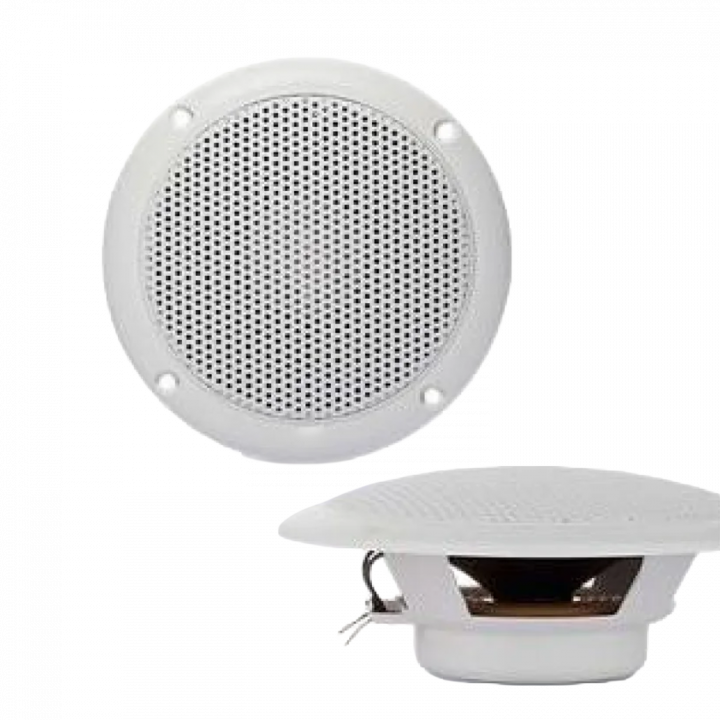 Haut-parleur FR, 10 cm