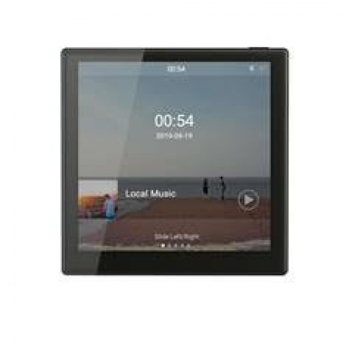 Amplificateur de musique Smart Home sur mur DM839