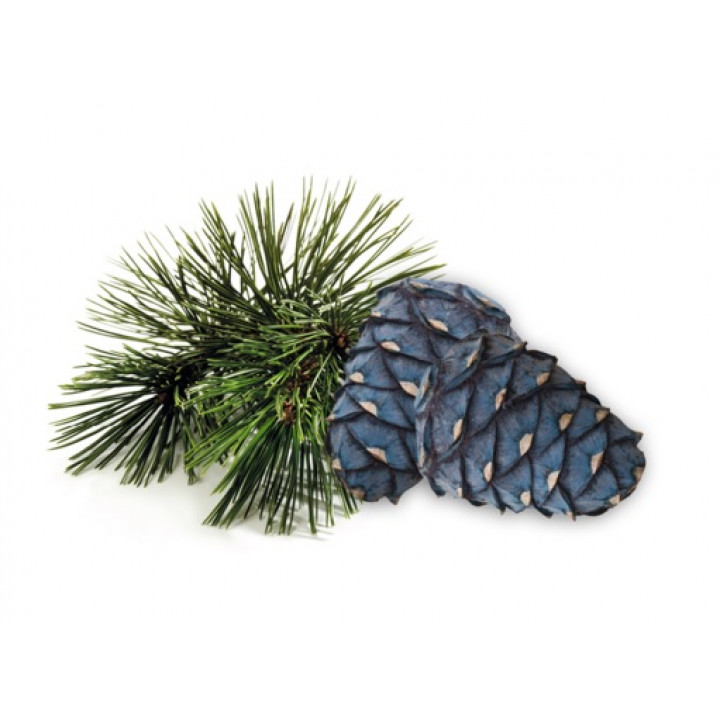 Concentré de parfum pour sauna HARVIA, parfum pin d'Arolla, 1 l
