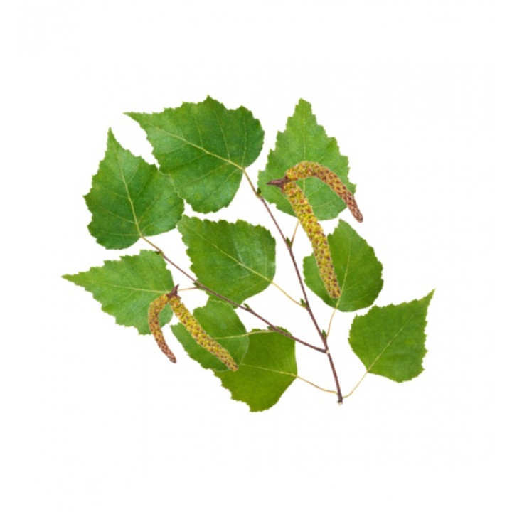 Concentré de parfum pour sauna HARVIA, bouleau nordique 1 l