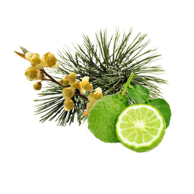 Concentré de parfum pour sauna HARVIA, pin arolle, bergamote et litsea cubeba 1 l