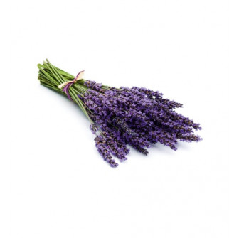 Concentré de parfum pour sauna HARVIA, lavande 1 l