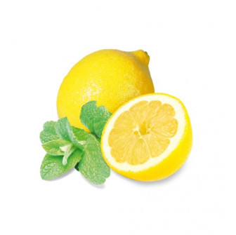 Concentré de parfum pour sauna HARVIA, menthe et citron 1 l