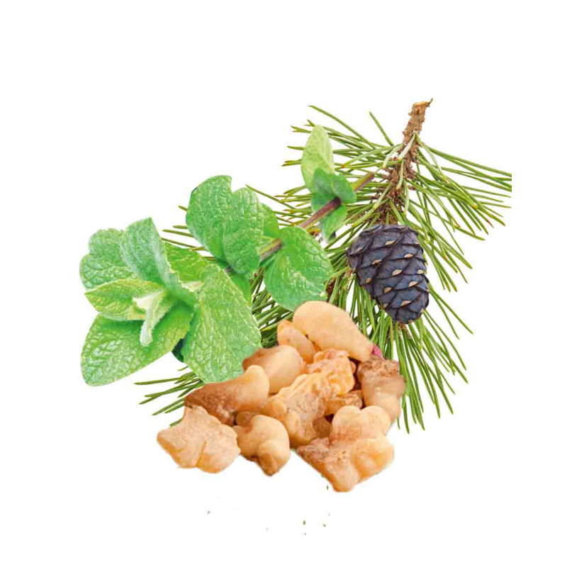 Concentré de parfum pour sauna HARVIA, menthe poivrée, pin, encens et myrrhe 1 l