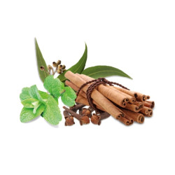 Concentré de parfum pour sauna HARVIA, épices et menthe 1 l  Concentré de parfum pour sauna HARVIA, épices et menthe 1 l