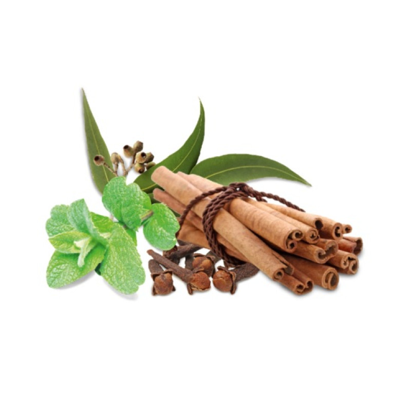 Concentré de parfum pour sauna HARVIA, épices et menthe 1 l