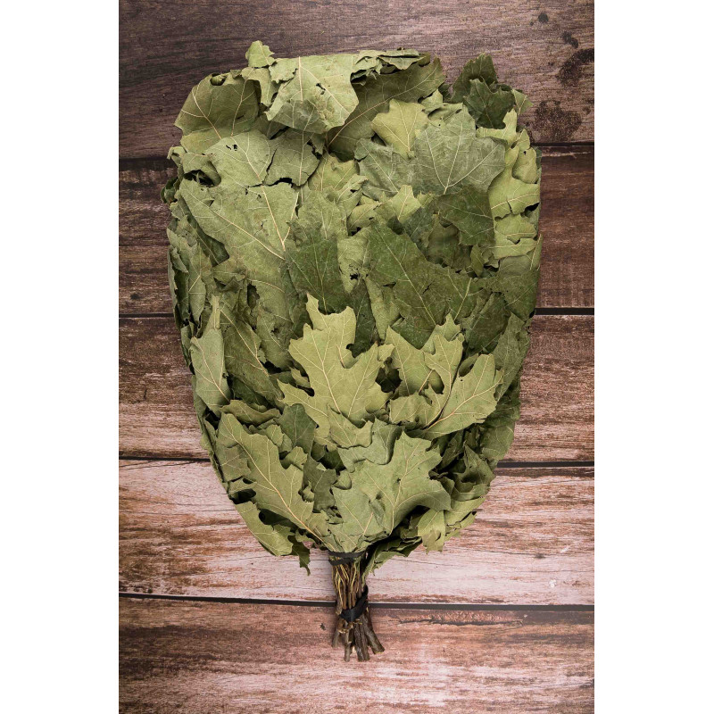 Genêt à balais en chêne canadien