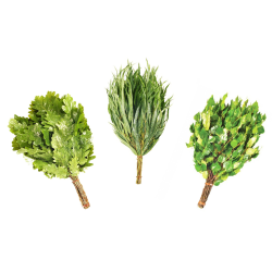 3 fouets pour sauna