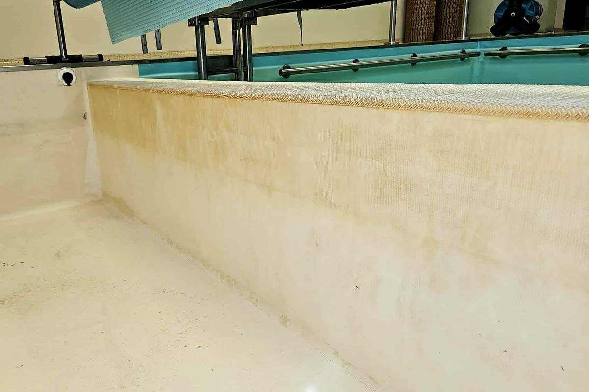 Saletés et dépôts visibles sur les parois extérieures de la piscine rectangulaire