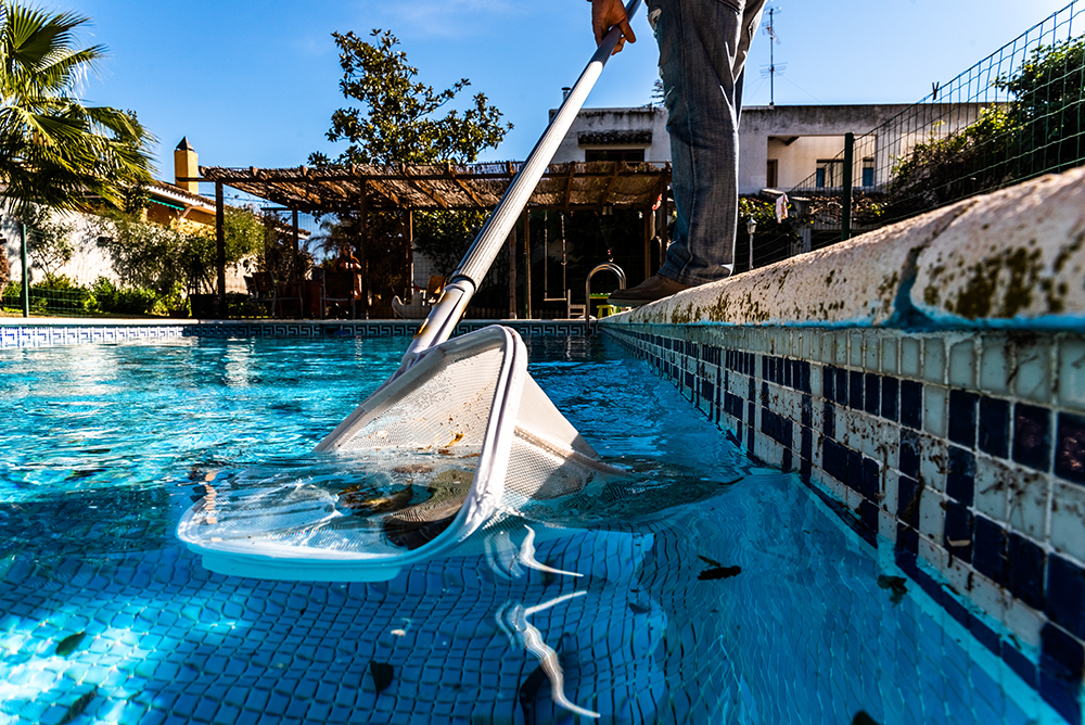 piscine sale
