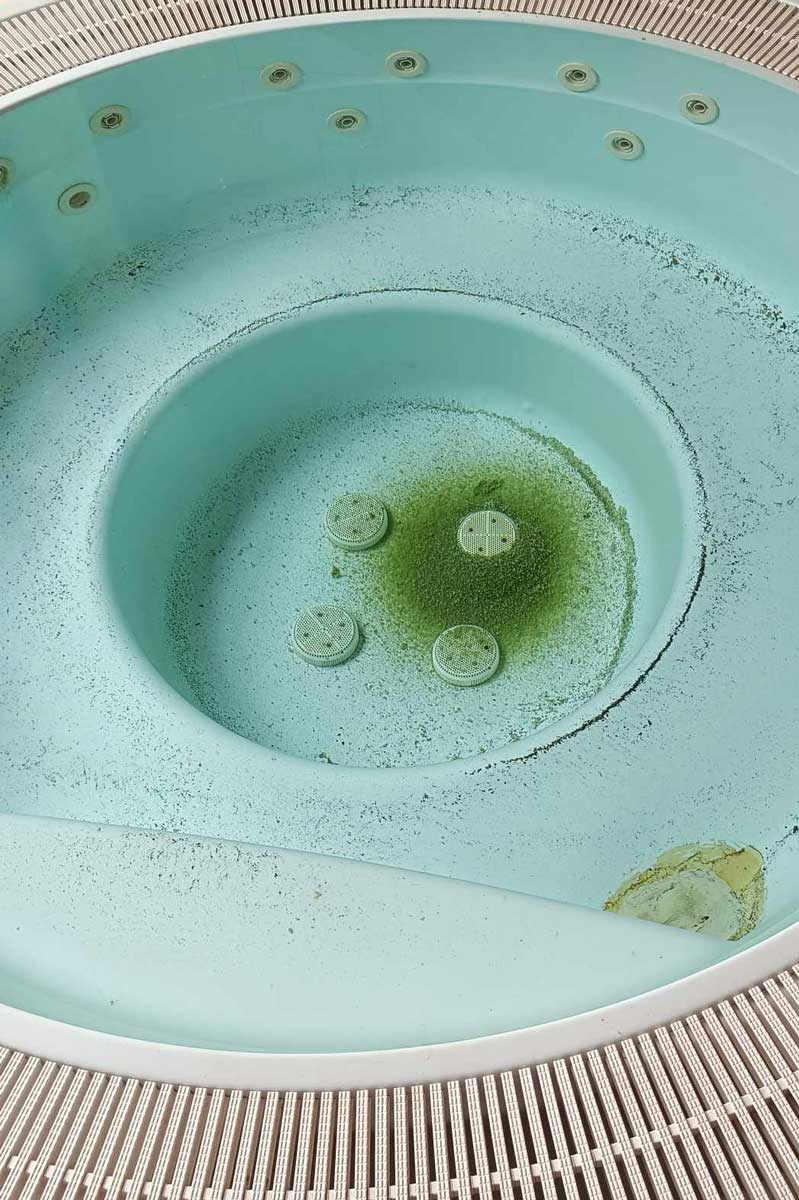 Les saletés de la piscine dues à la négligence sont difficiles à nettoyer, mais peuvent l'être.
