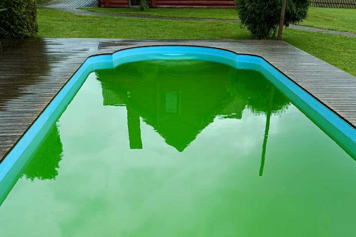 eau verte de la piscine, que faire