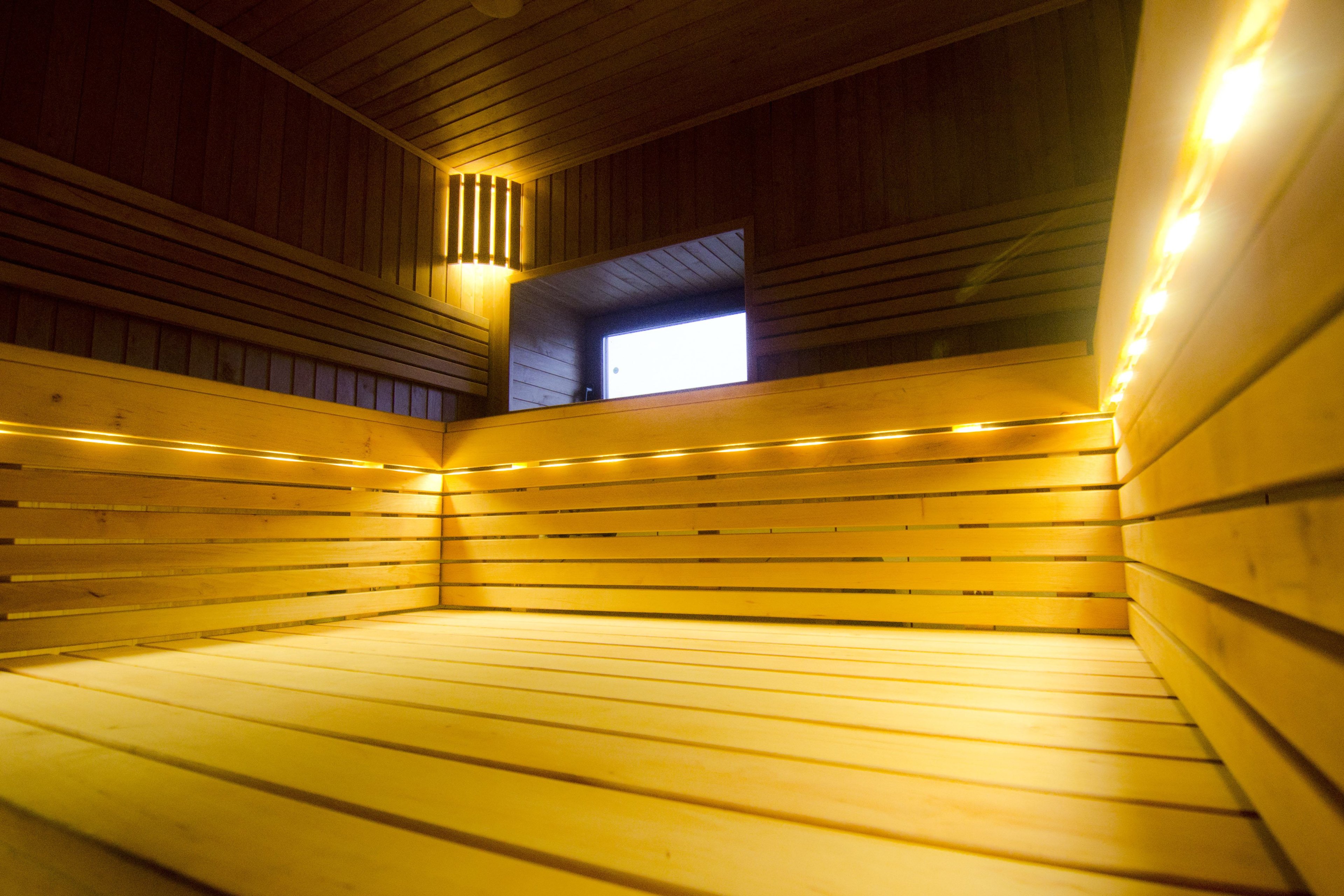 Sauna avec bancs à trois niveaux en bois d'aulne