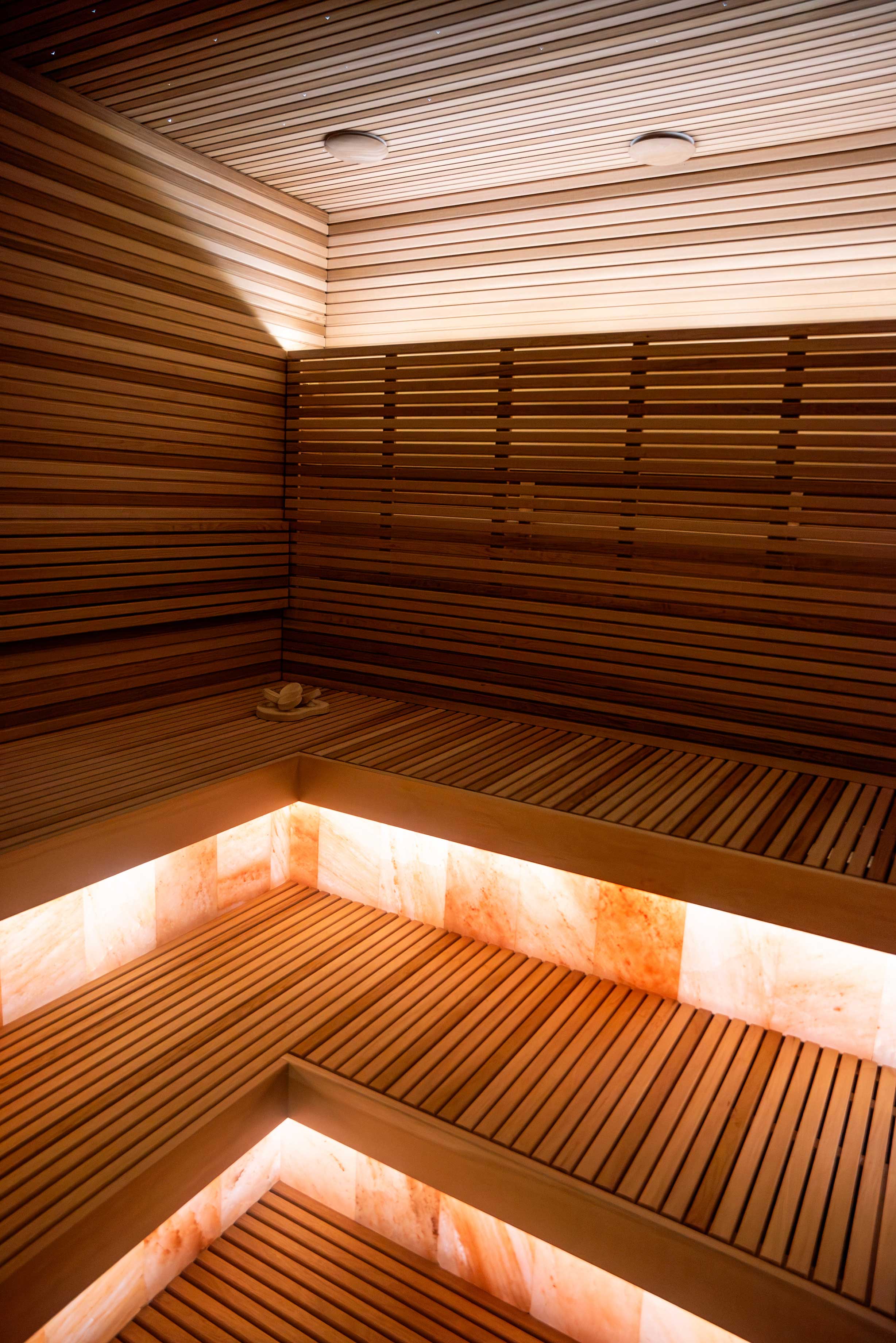 projet de sauna infrarouge et de piscine privés